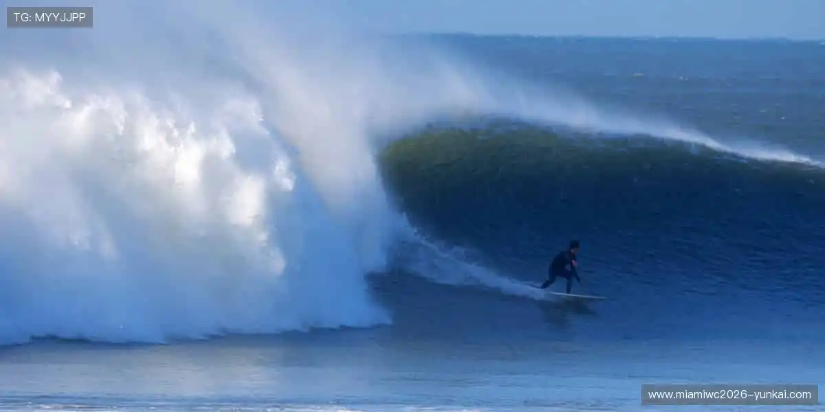 🎽 从赛场到生活，用设计点燃热爱！